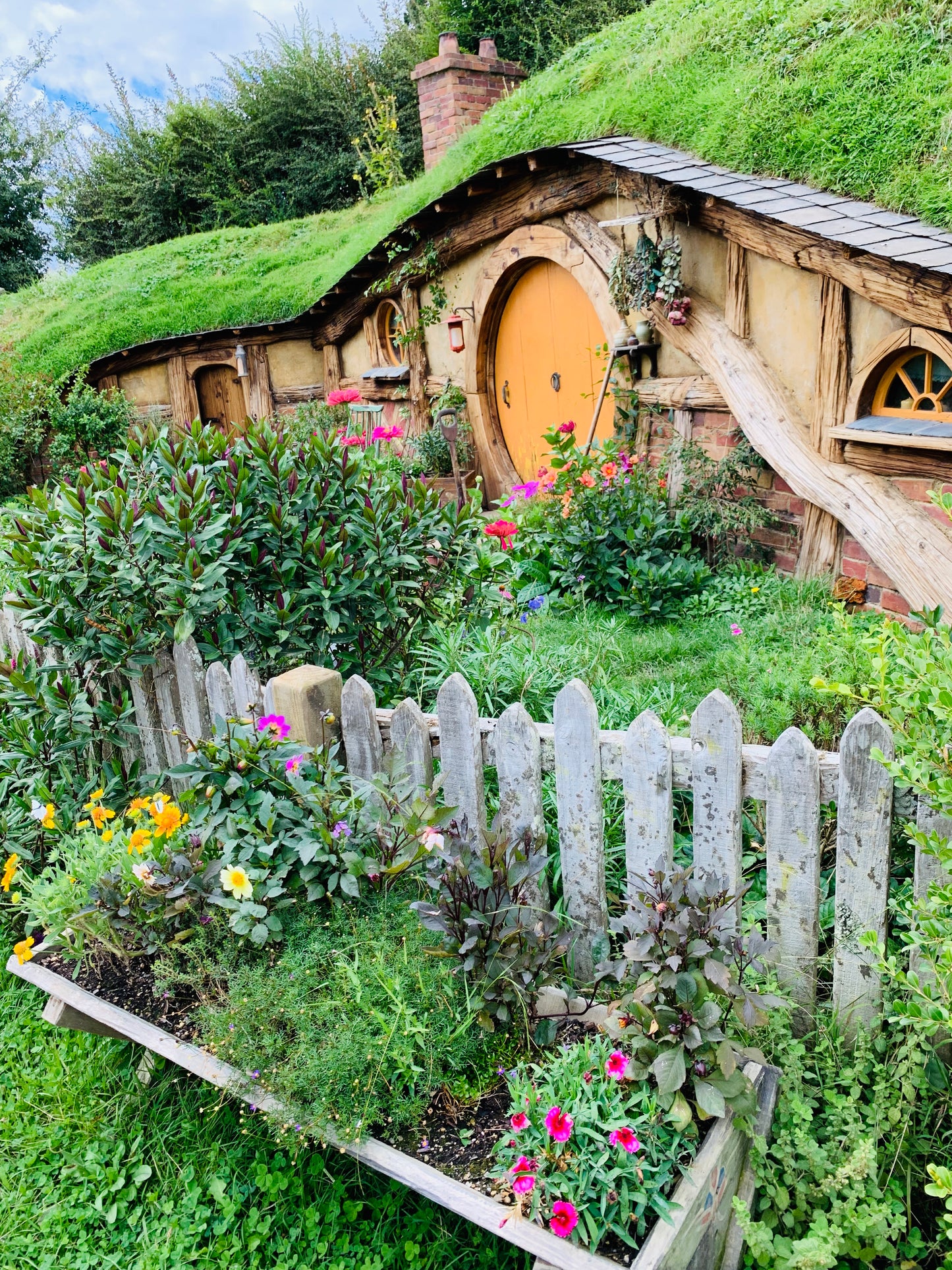 New Zealand Adventure