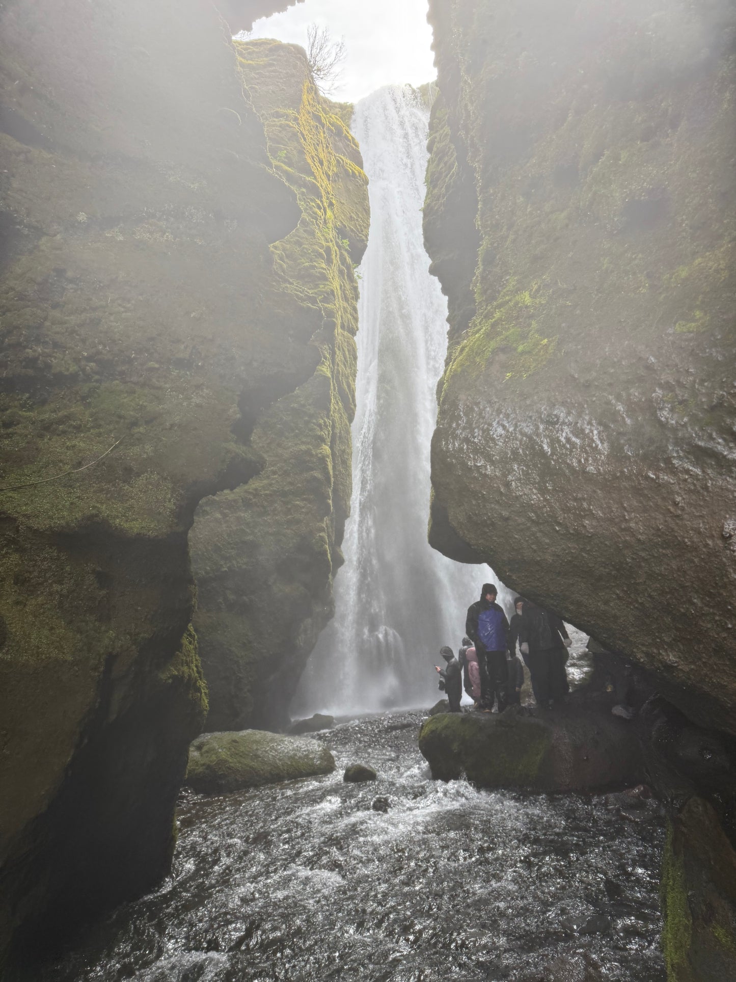 Aurora Quest: Chasing Northern Lights in Iceland