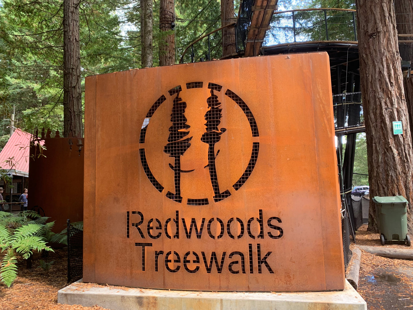 New Zealand - Redwood Tree Walk