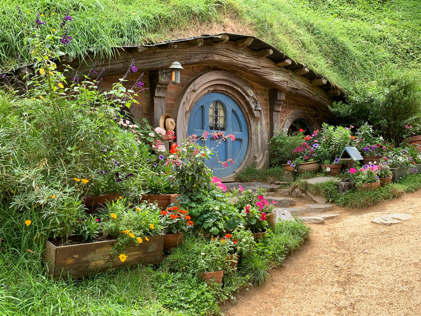 New Zealand Adventure