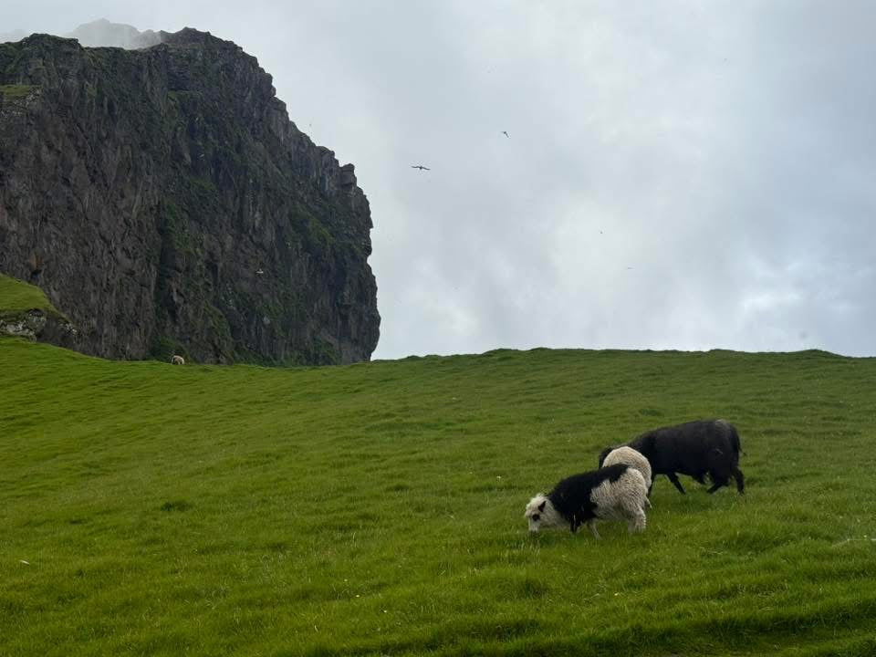 Edge of the Earth: Faroe Islands Adventure