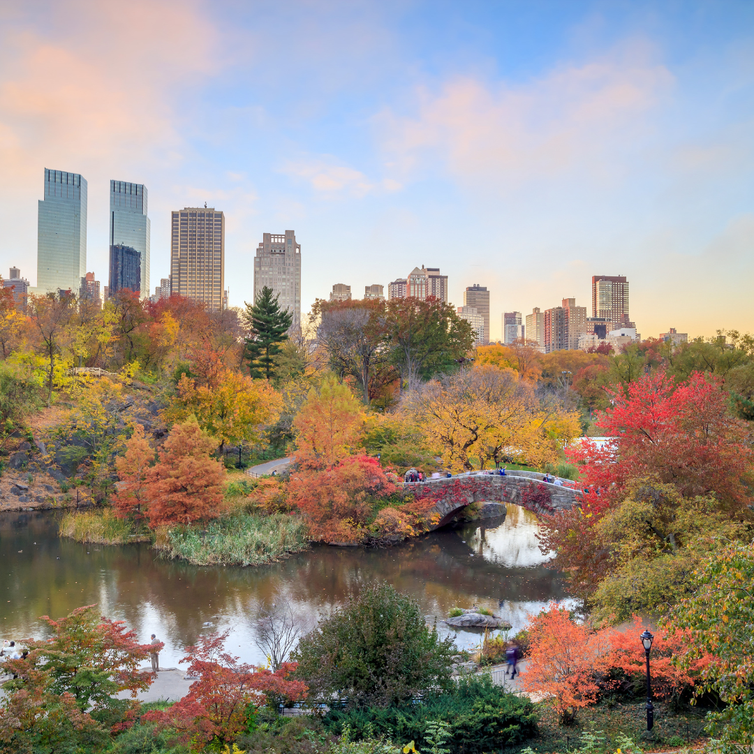 New York City Escape