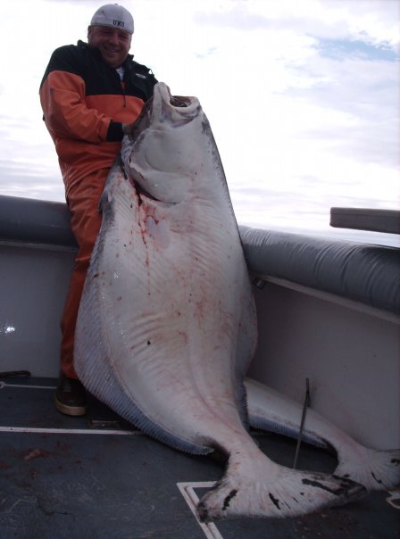 Halibut Fishing with Chartered Boat - Homer - ExistTravels