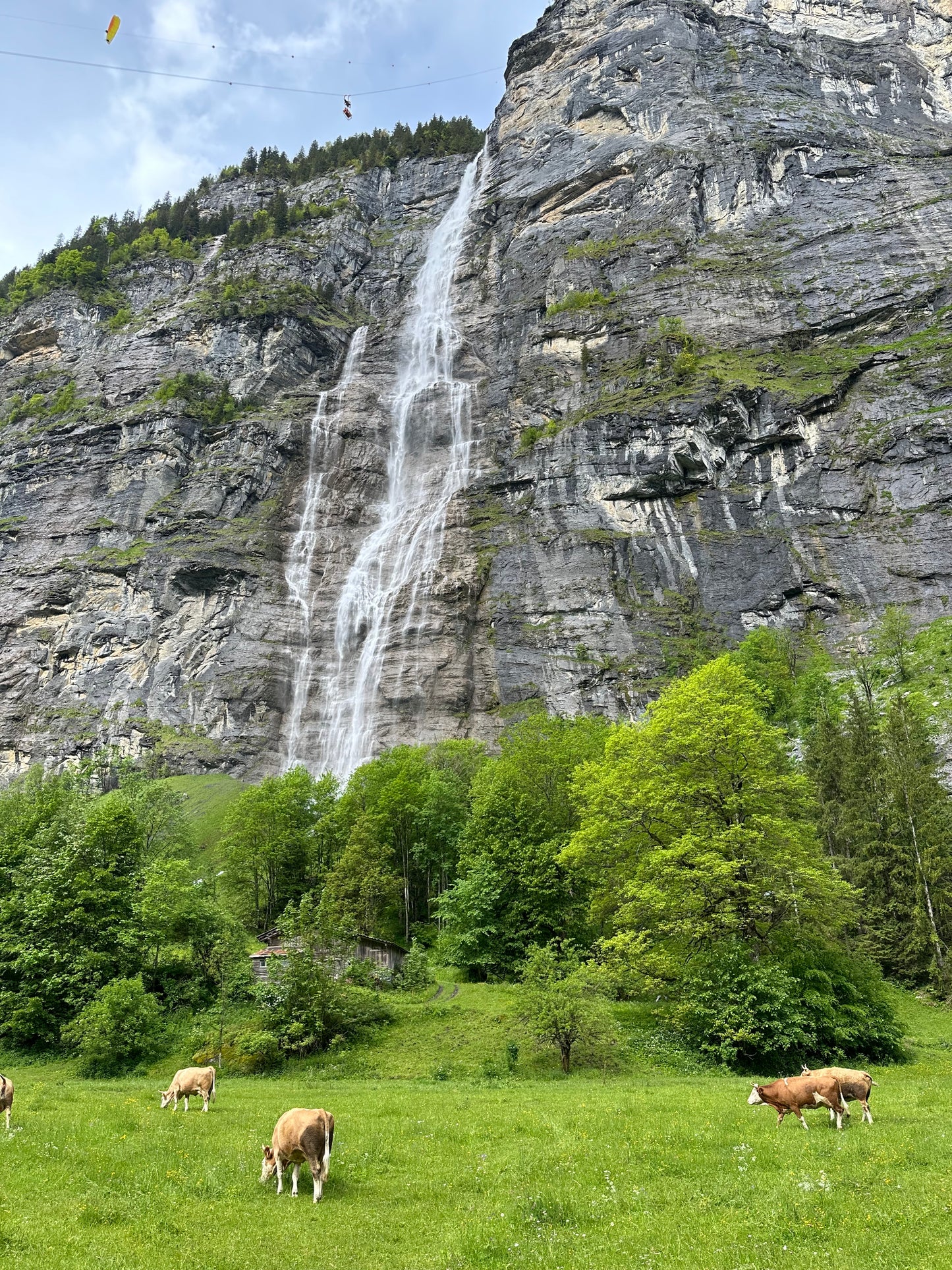 Alpine Thrill: High-Adrenaline Summer in Switzerland