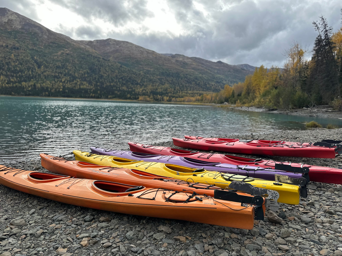 Alaska Unleashed: Fall’s Wild Symphony
