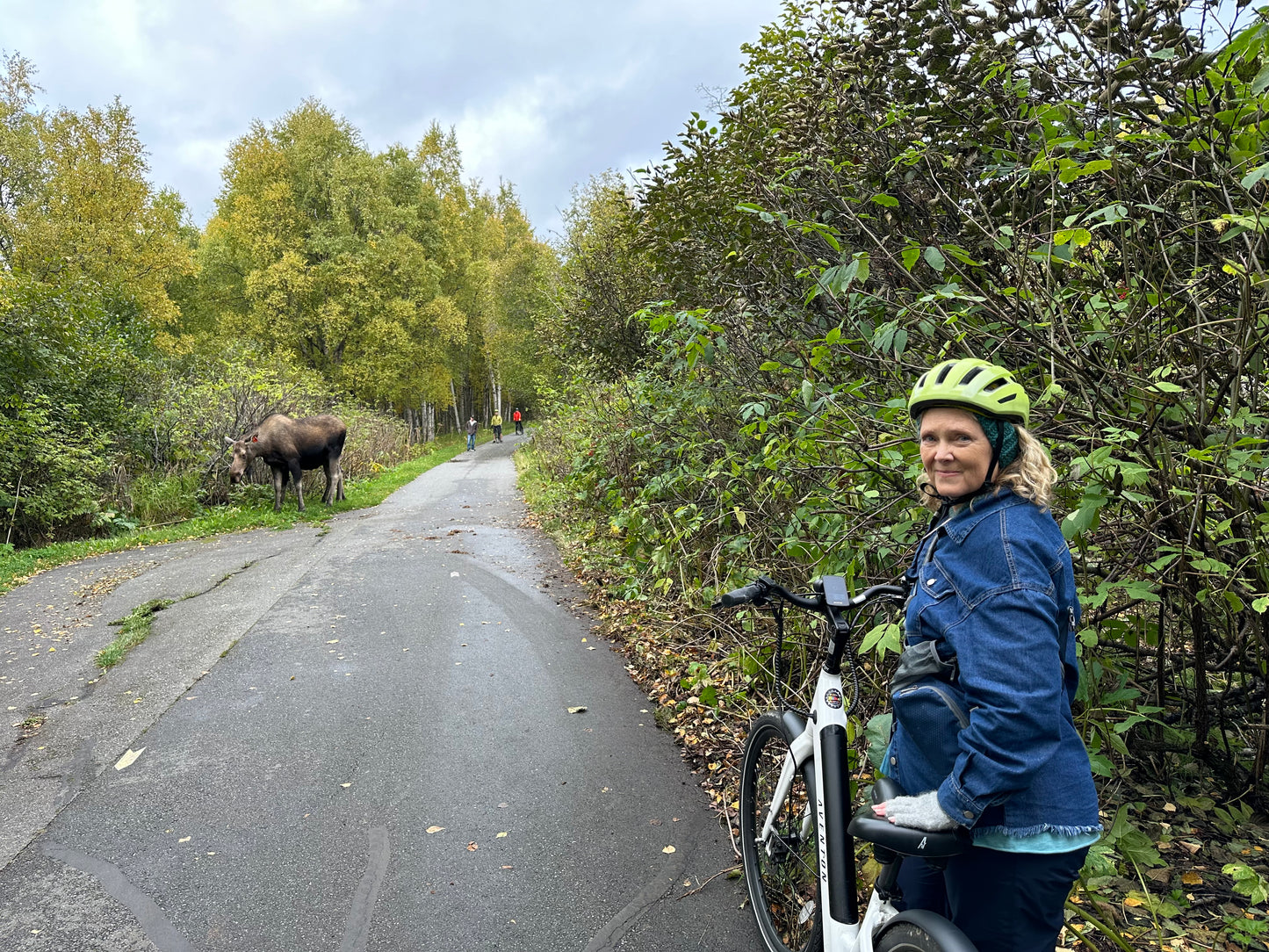 Alaska Unleashed: Fall’s Wild Symphony