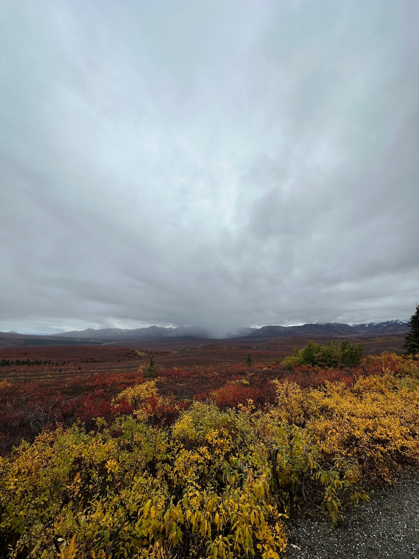 Alaska Unleashed: Fall’s Wild Symphony