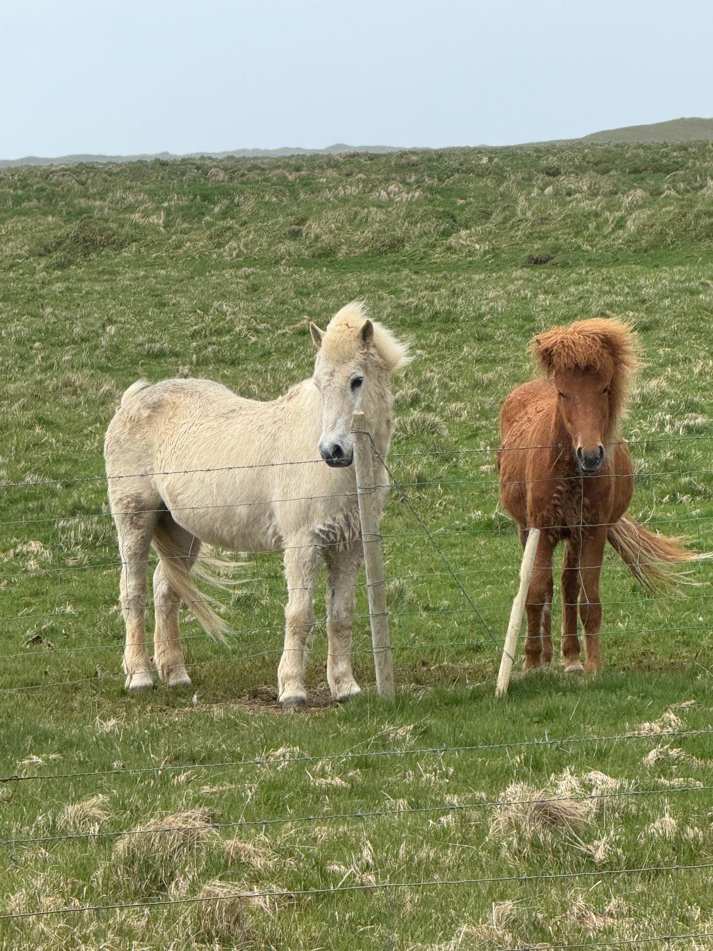 Aurora Quest: Chasing Northern Lights in Iceland