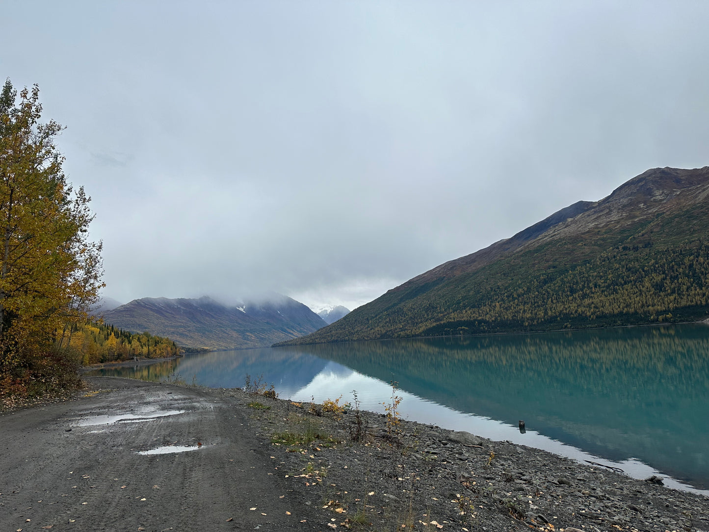 Alaska Unleashed: Fall’s Wild Symphony