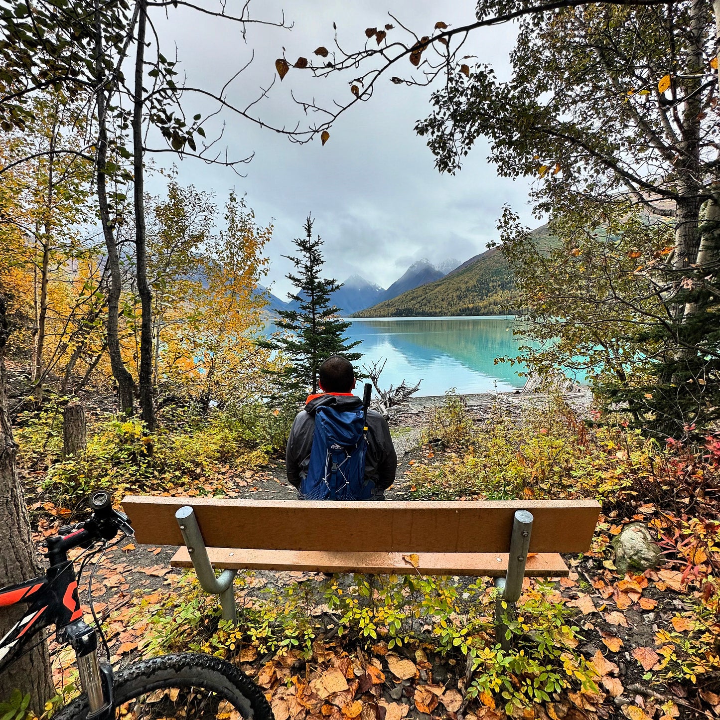 Alaska Unleashed: Fall’s Wild Symphony