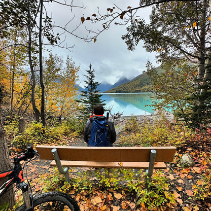 Alaska Unleashed: Fall’s Wild Symphony