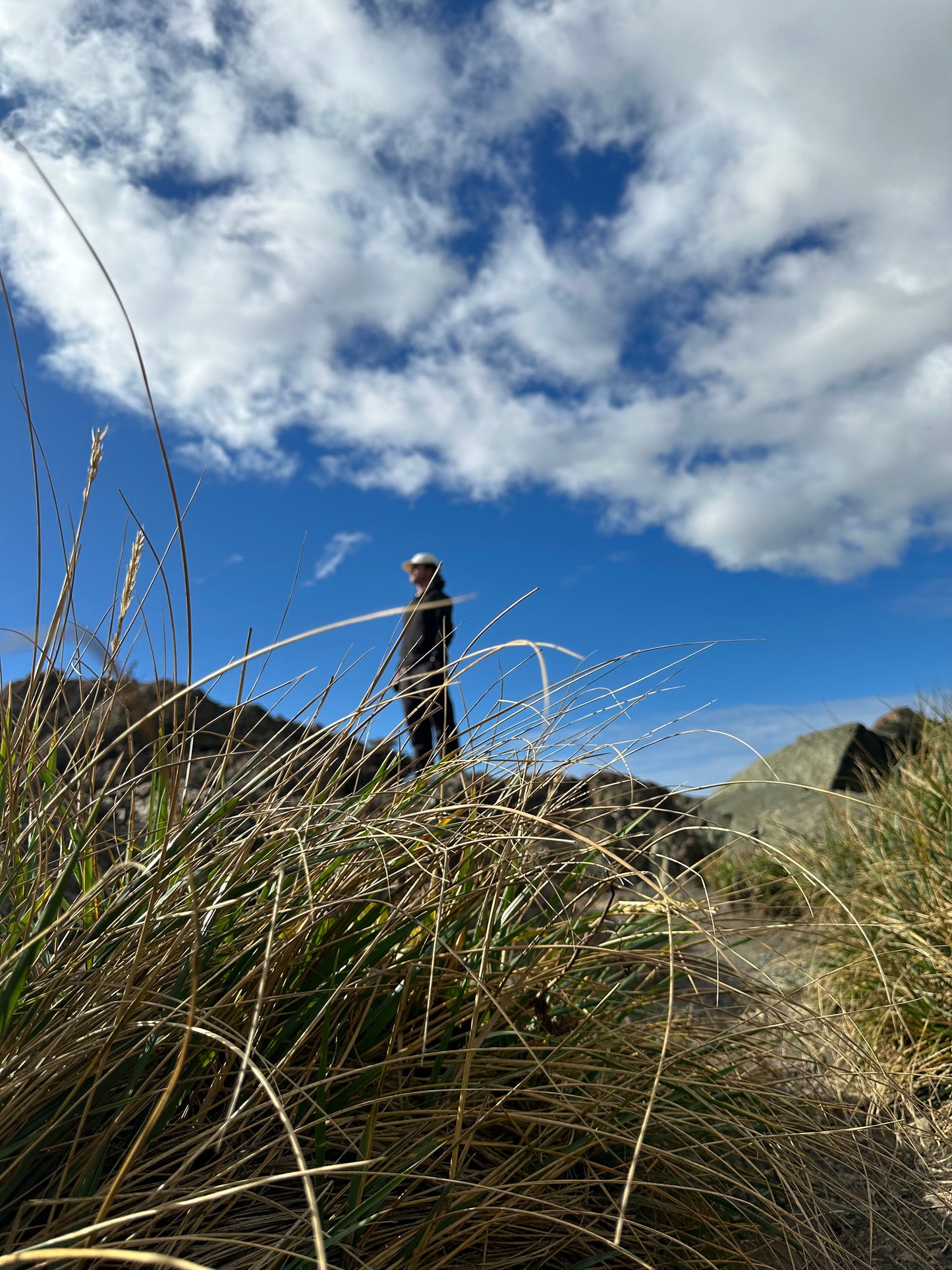 Alaska Unleashed: Fall’s Wild Symphony