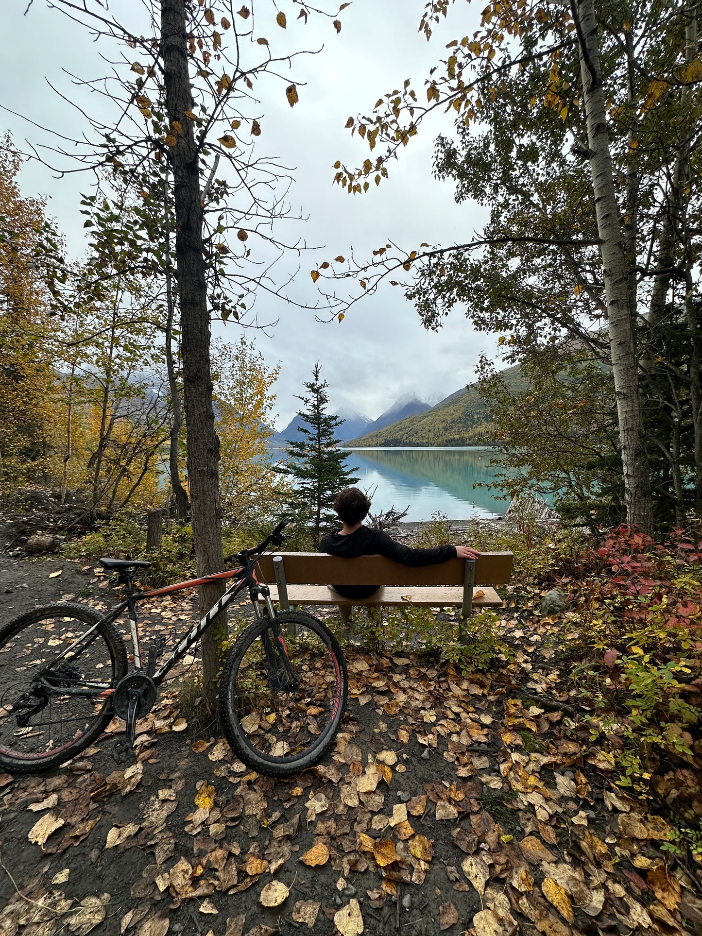 Alaska Unleashed: Fall’s Wild Symphony