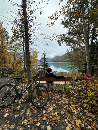 Alaska Unleashed: Fall’s Wild Symphony