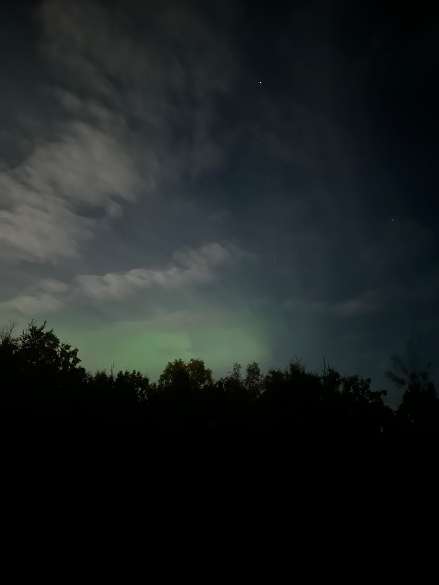 Alaska Unleashed: Fall’s Wild Symphony