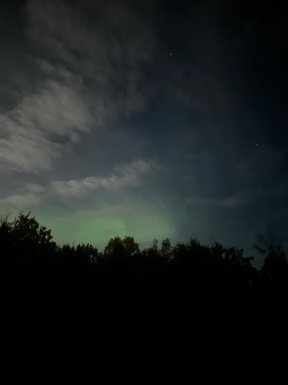 Alaska Unleashed: Fall’s Wild Symphony