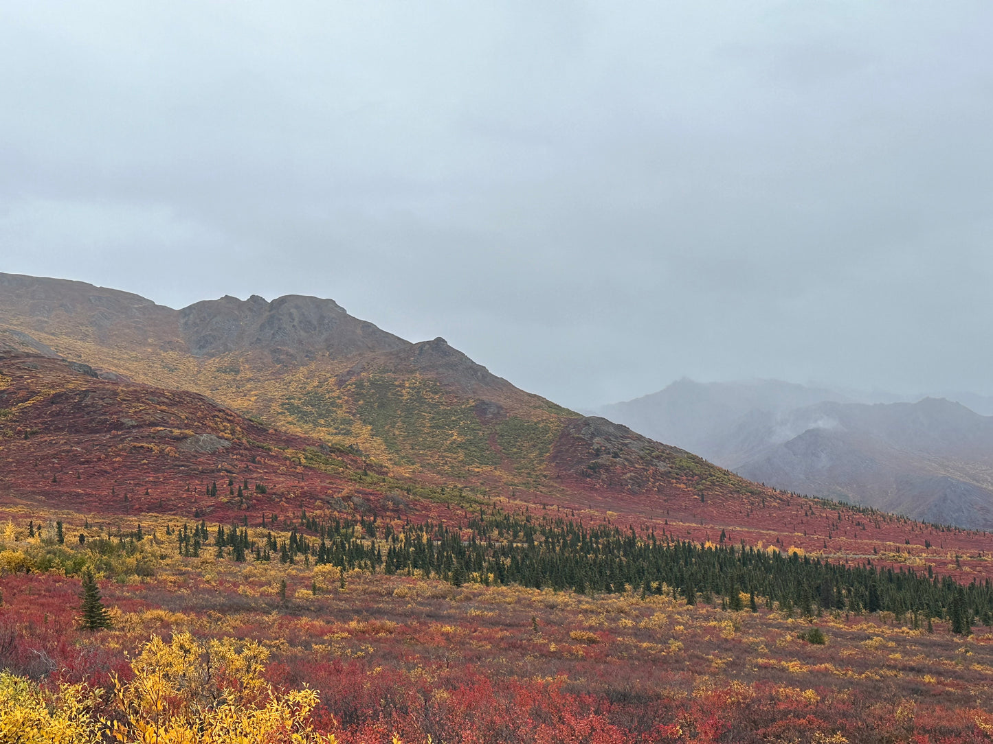 Alaska Unleashed: Fall’s Wild Symphony