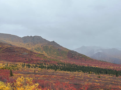 Alaska Unleashed: Fall’s Wild Symphony