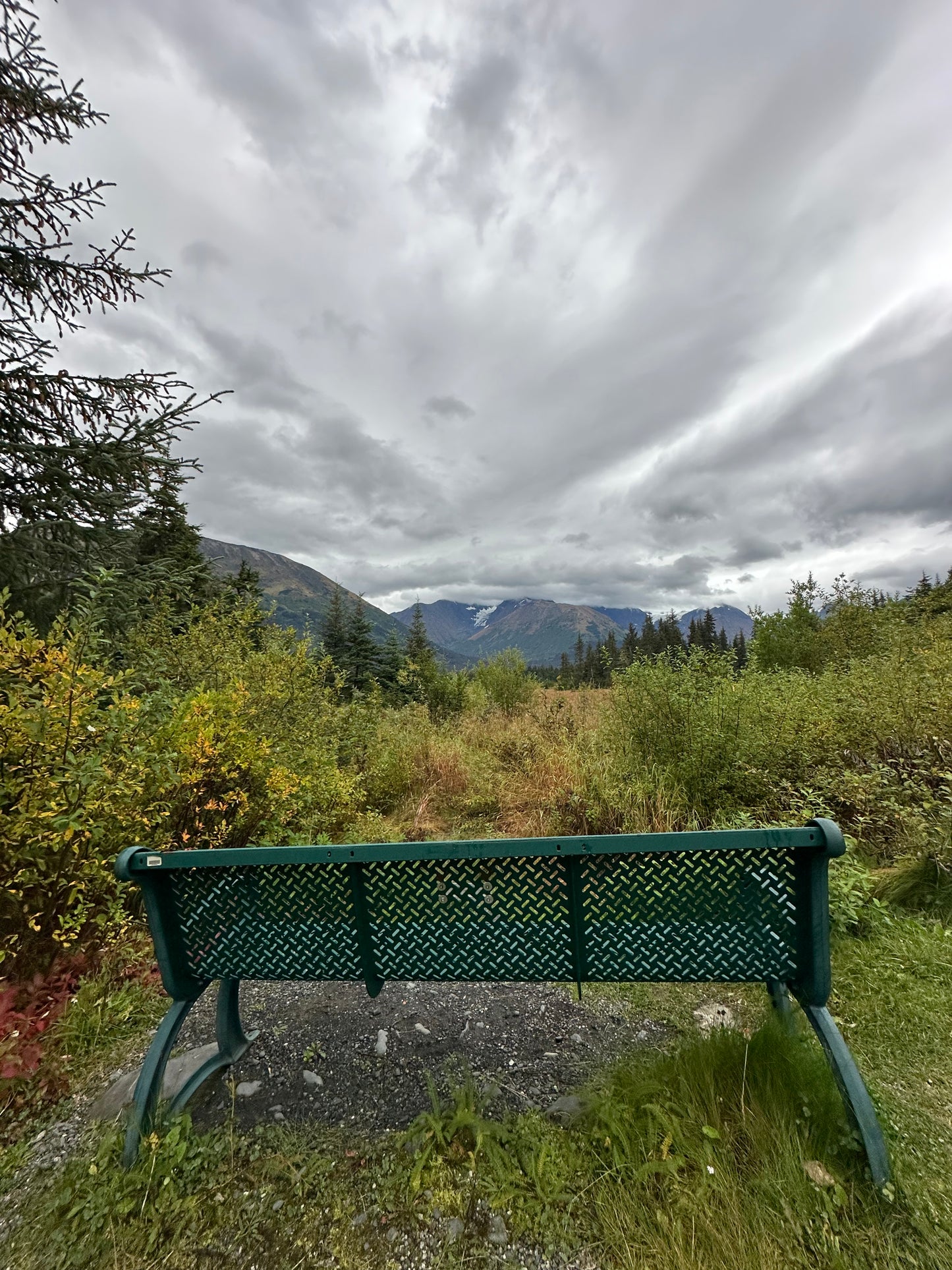 Alaska Unleashed: Fall’s Wild Symphony