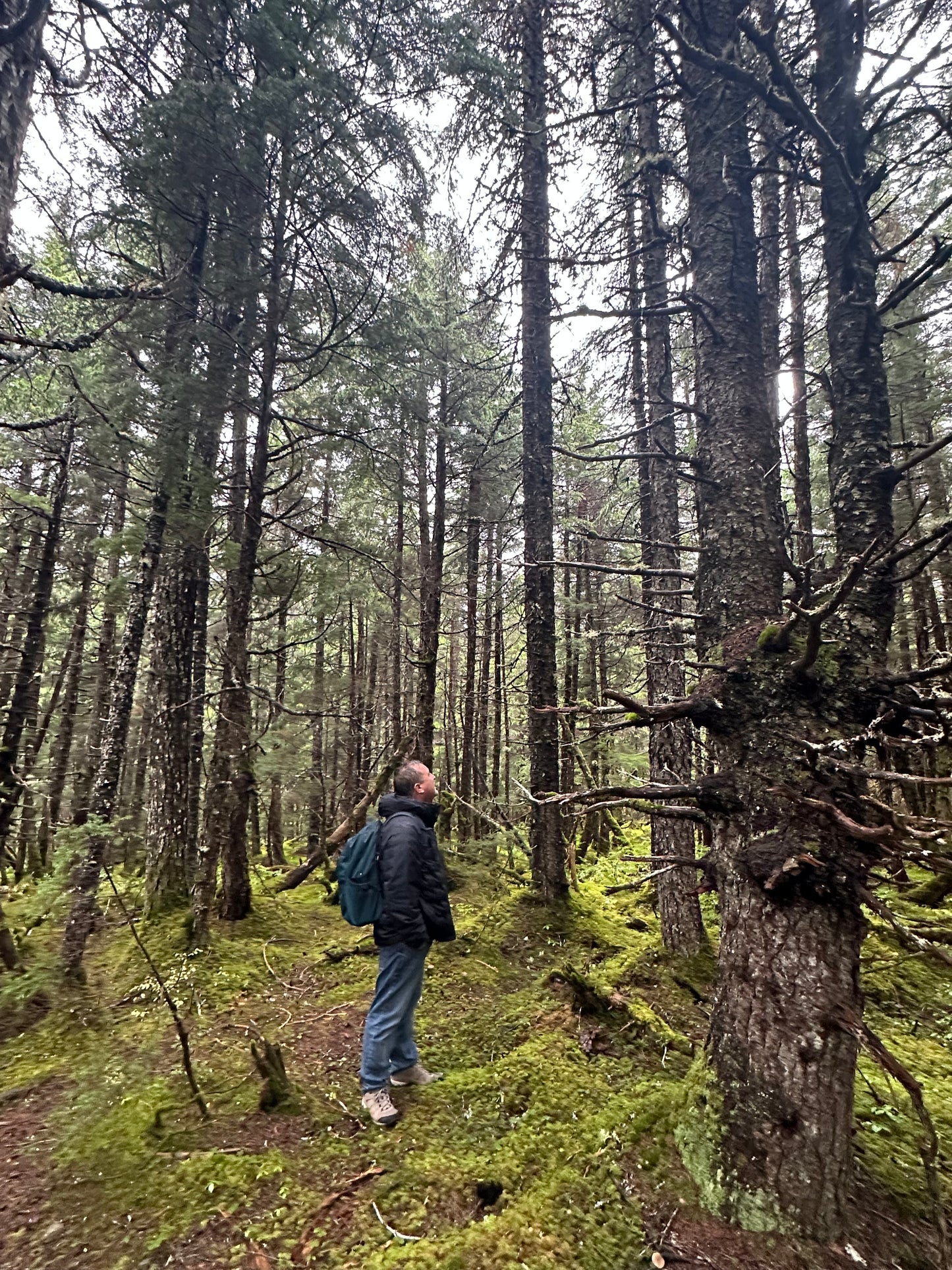 Alaska Unleashed: Fall’s Wild Symphony