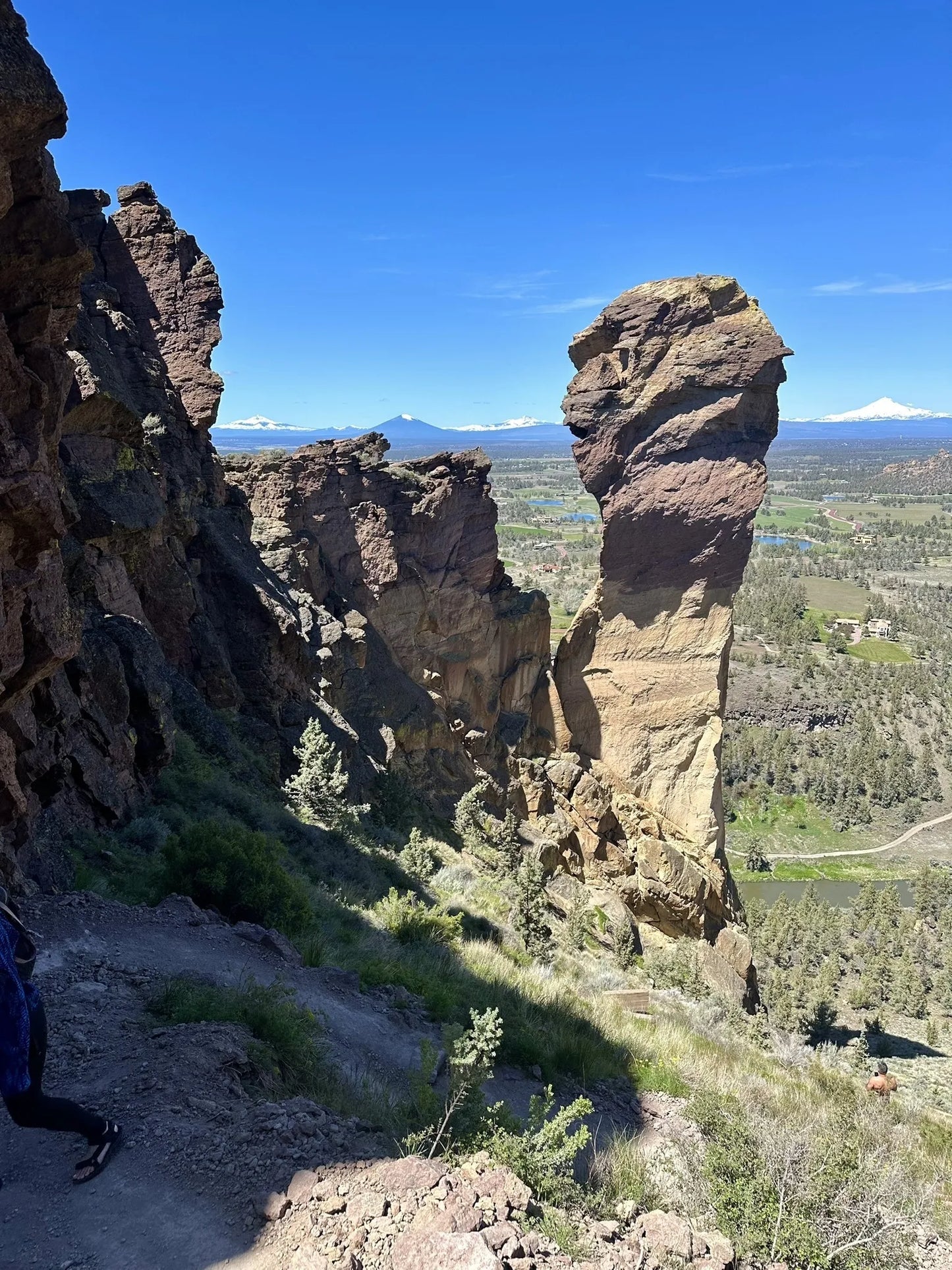 Pacific Plunge: Bungee, Peaks & Wild Heights