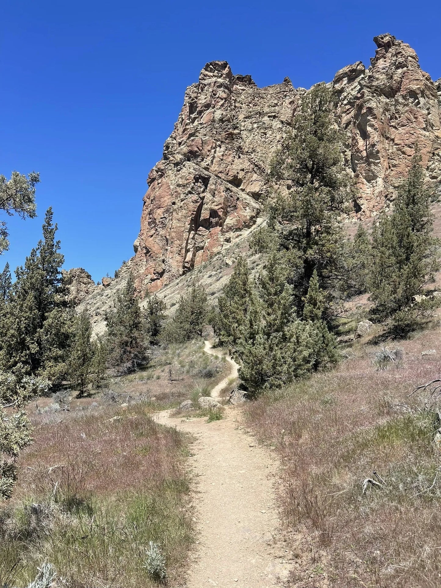 Pacific Plunge: Bungee, Peaks & Wild Heights