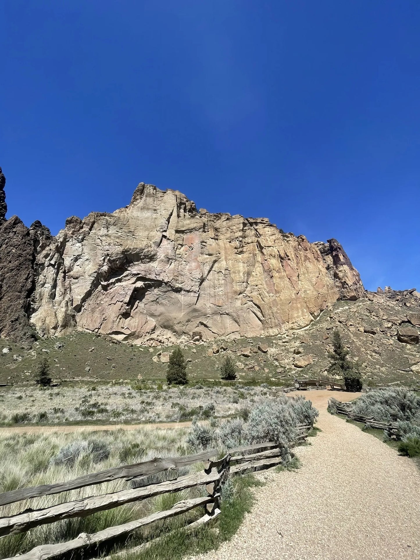 Pacific Plunge: Bungee, Peaks & Wild Heights