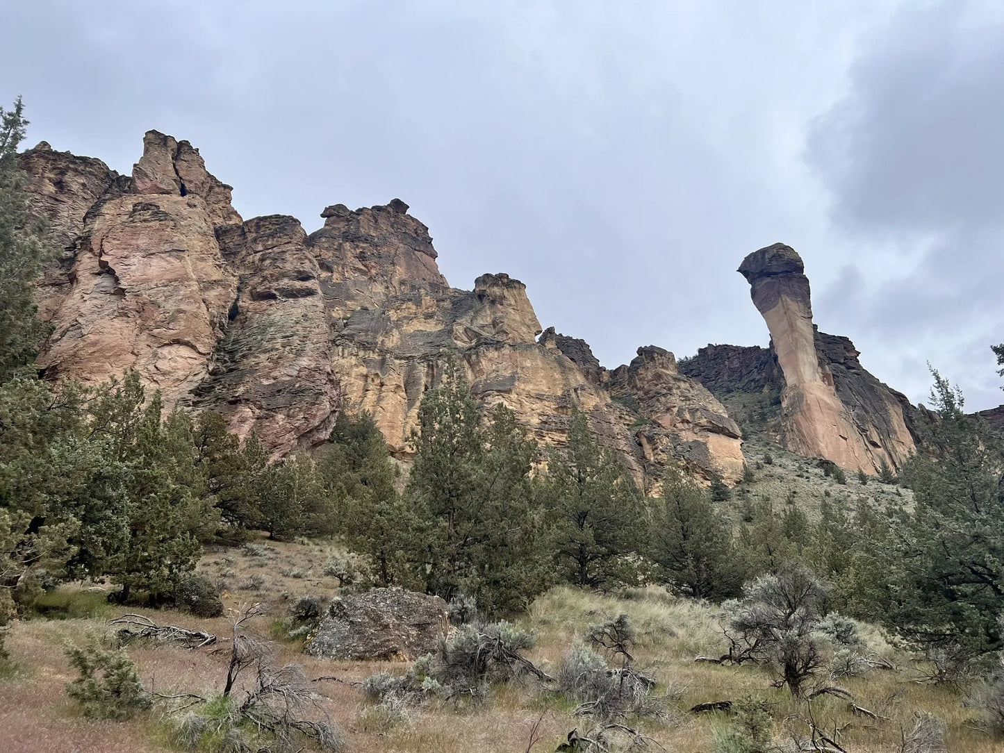 Pacific Plunge: Bungee, Peaks & Wild Heights