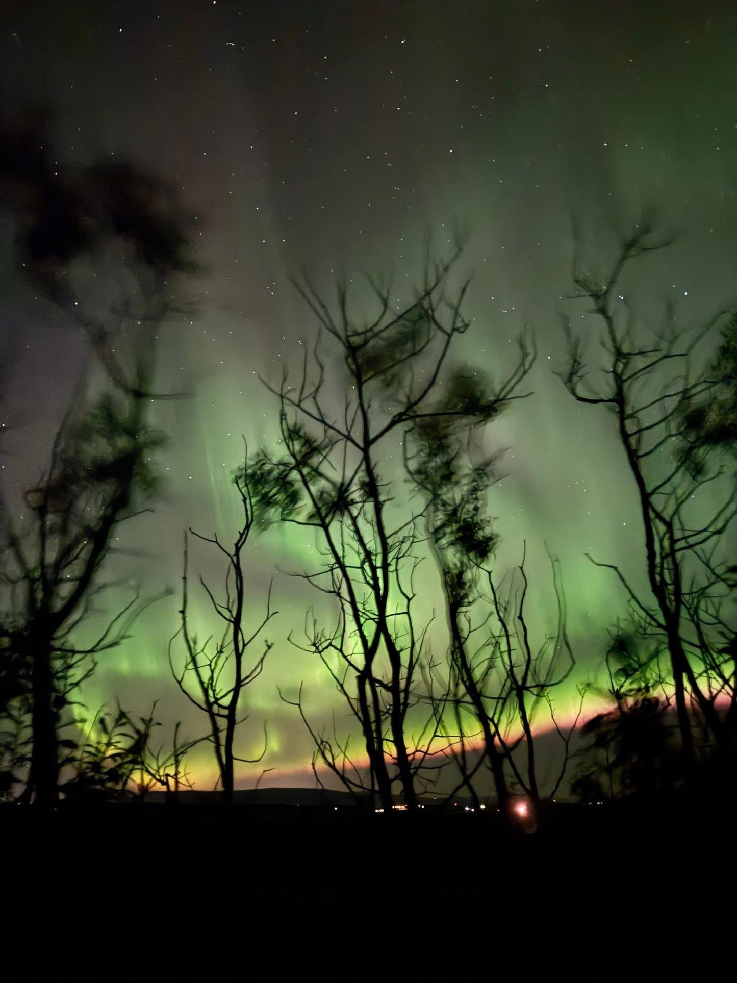 Aurora Quest: Chasing Northern Lights in Iceland