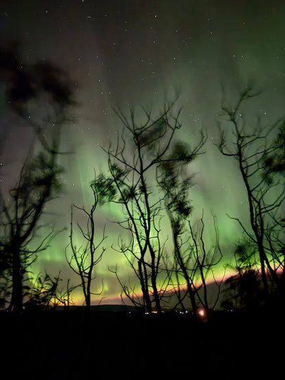 Aurora Quest: Chasing Northern Lights in Iceland