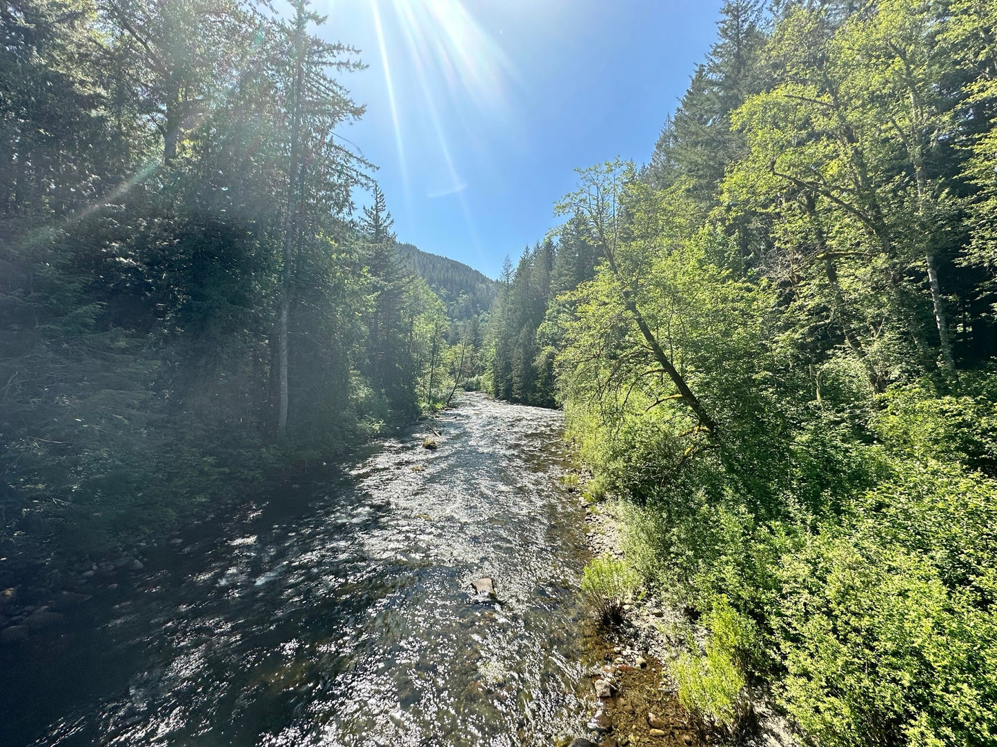Pacific Plunge: Bungee, Peaks & Wild Heights