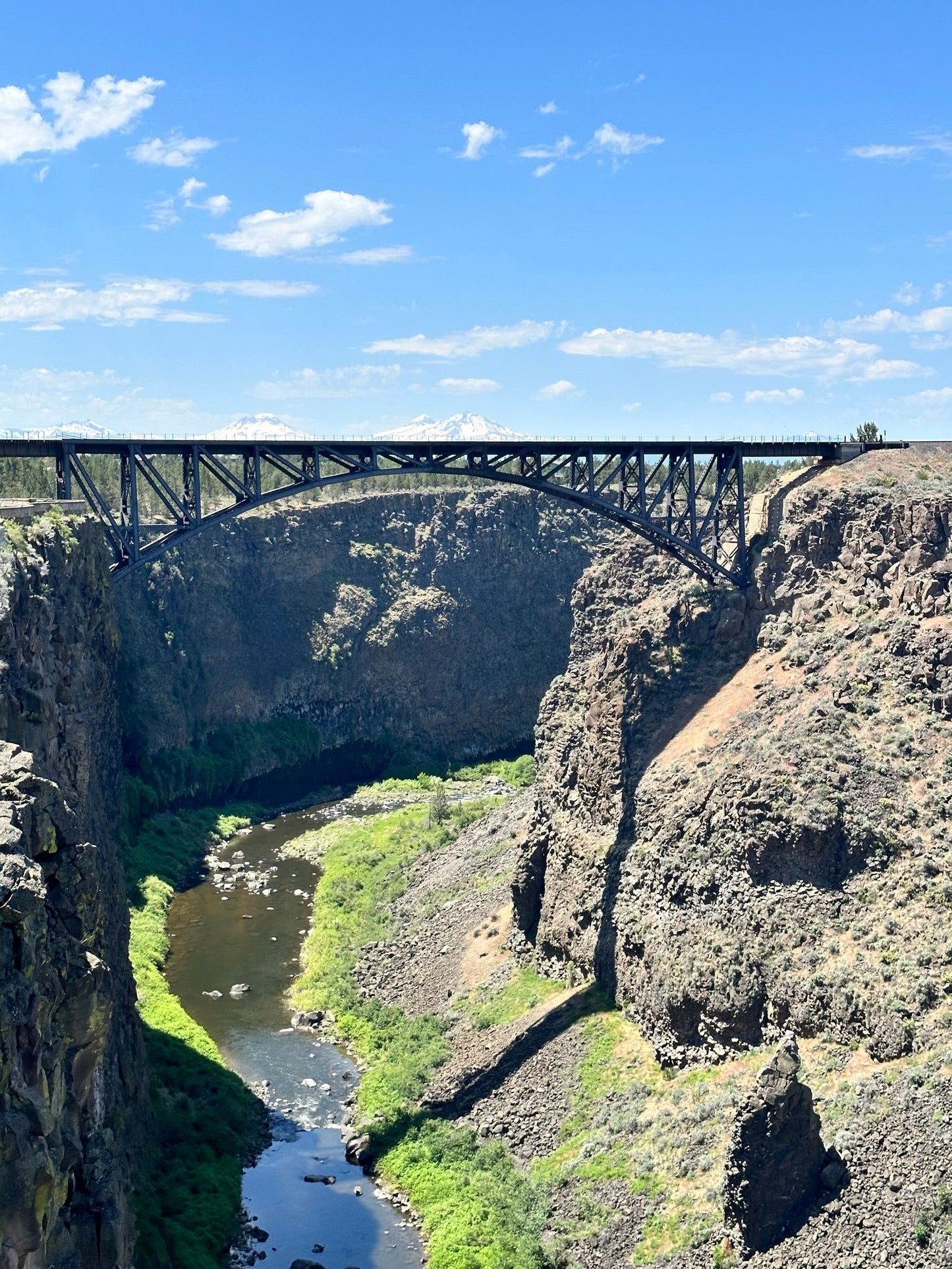 Pacific Plunge: Bungee, Peaks & Wild Heights