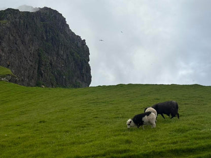 Edge of the Earth: Faroe Islands Adventure
