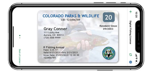 Fishing License