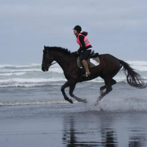 New Zealand - Muriwai Beach Horse Trek - ExistTravels