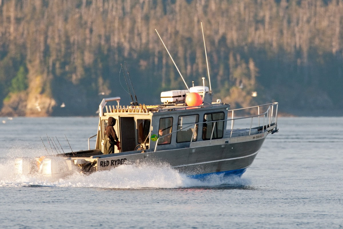 Chartered Salmon Fishing