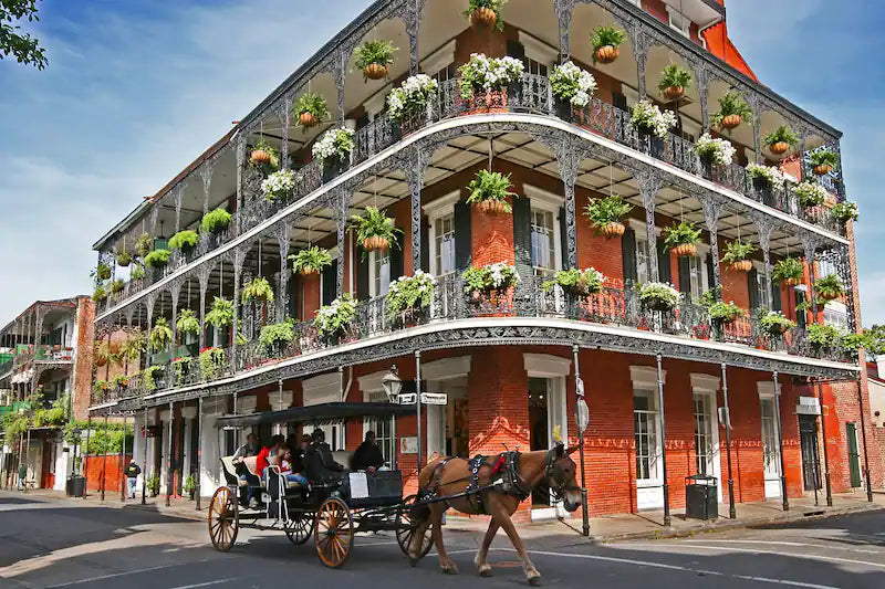Horse Carriage Ride in the French Quarter